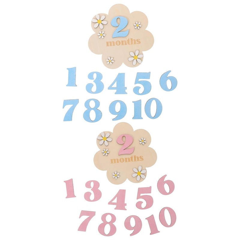 Baby Monthly Photo Props 2 Sets Wooden Birth Flower Plaques For Valentine Day Baby Shower - Image 1